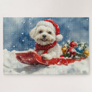 Puzzle Coton De Tulear dans le traîneau Laissez tomber la