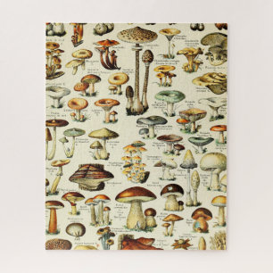Puzzle Cottagecore Champignons Naturaliste Vintage