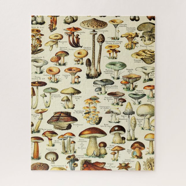 Puzzle Cottagecore Champignons Naturaliste Vintage (Vertical)