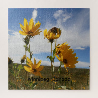 Puzzle Coucher de soleil des Prairies