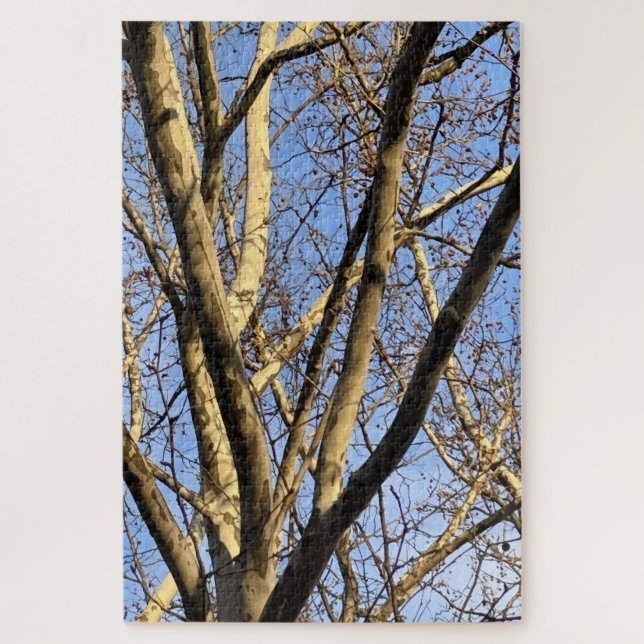 Puzzle Coucher de soleil sur le sycomore (Vertical)