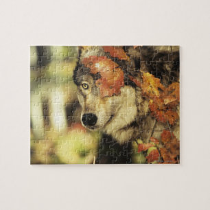 Puzzle Couleur d'automne de loup (lupus de Canis)  