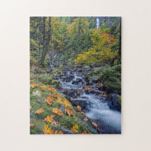 Puzzle Couleur d'automne le long des chutes de Starvation
