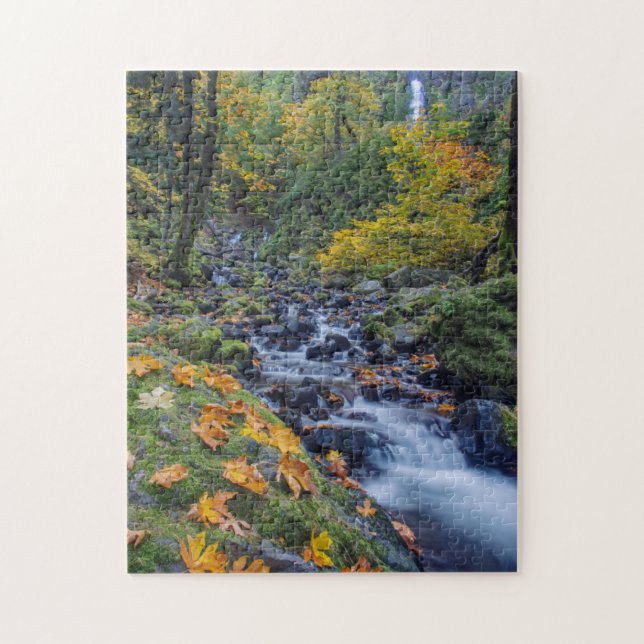 Puzzle Couleur d'automne le long des chutes de Starvation (Vertical)