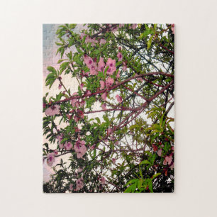 Puzzle Couleur de l'eau de l'arbre en fleurs roses,