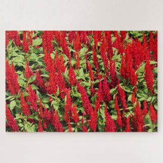 Puzzle Couleurs 1