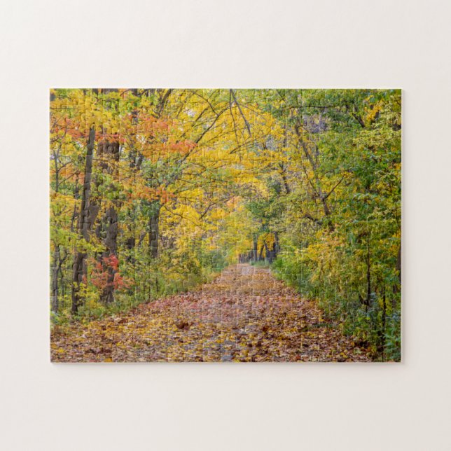 Puzzle Couleurs d'automne au Independence State Park (Horizontal)