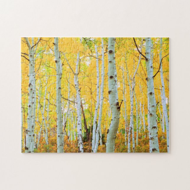Puzzle Couleurs d'automne des arbres d'Aspen 1 (Horizontal)