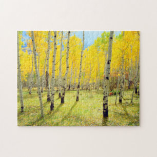 Puzzle Couleurs d'automne des arbres d'Aspen 4