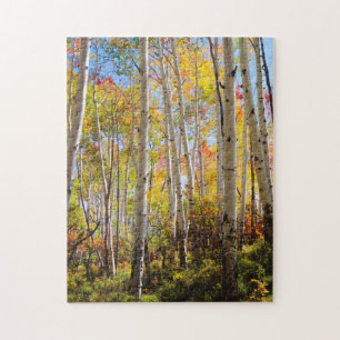 Puzzle Couleurs d'automne des arbres d'Aspen 5