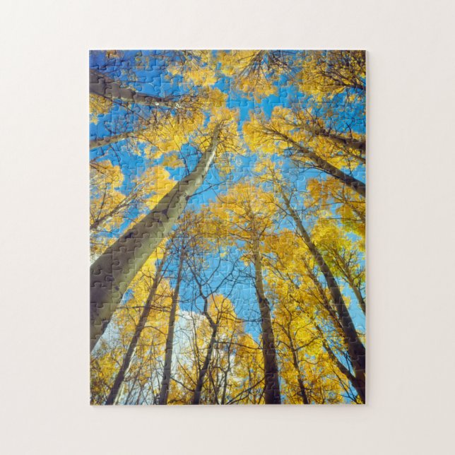 Puzzle Couleurs d'automne des arbres Trembles 2 (Vertical)