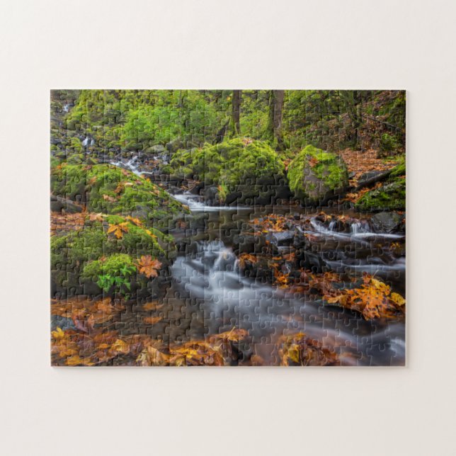 Puzzle Couleurs d'automne le long des chutes de Starvatio (Horizontal)