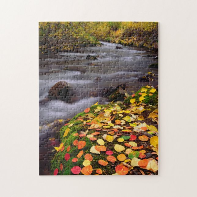 Puzzle Couleurs d'automne le long du ruisseau McGee (Vertical)