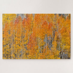Puzzle Couleurs d'automne sur les bosquets de trembles