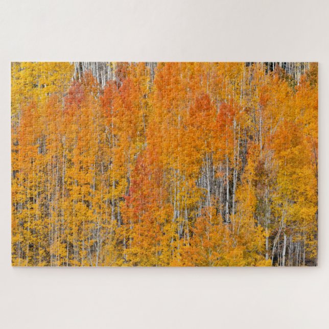 Puzzle Couleurs d'automne sur les bosquets de trembles (Horizontal)