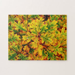 Puzzle Couleurs de chute dans Ottumwa IA.