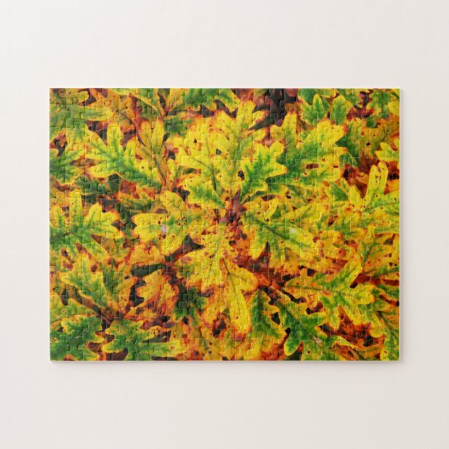 Puzzle Couleurs de chute dans Ottumwa IA. (Horizontal)