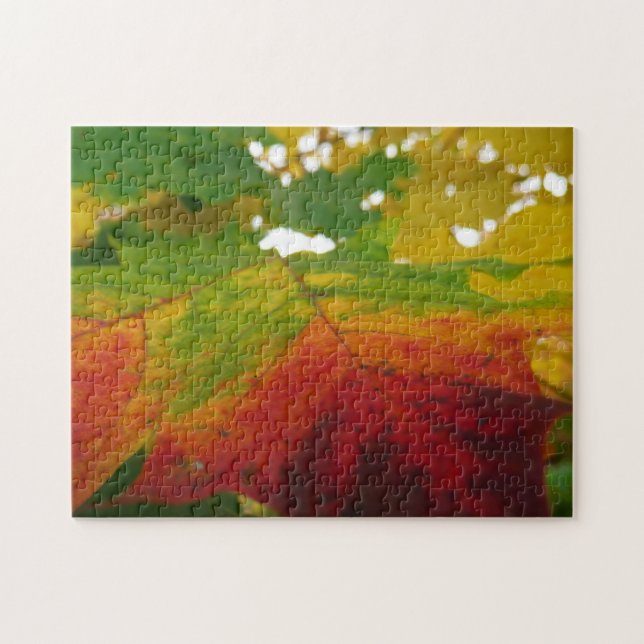 Puzzle Couleurs de la feuille d'érable Photographie de la (Horizontal)