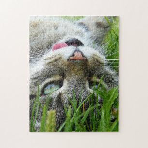 Puzzle Coupez les puzzels de chat