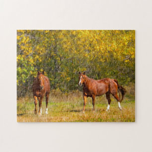 Puzzle Couple de chevaux d'automne