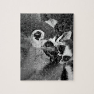 Puzzle Couple de lémuriens à queue d'anneau mangeant de l