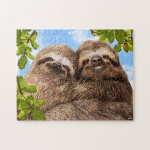 Puzzle Couple de paresseux