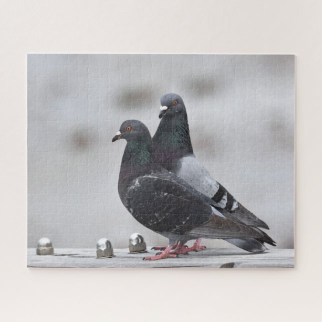Puzzle Couple de pigeons (Horizontal)