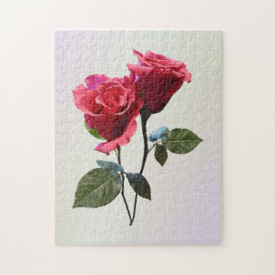 Puzzle Couple de roses