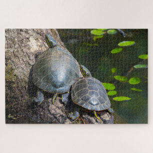 Puzzle Couple de Tortues Peintes
