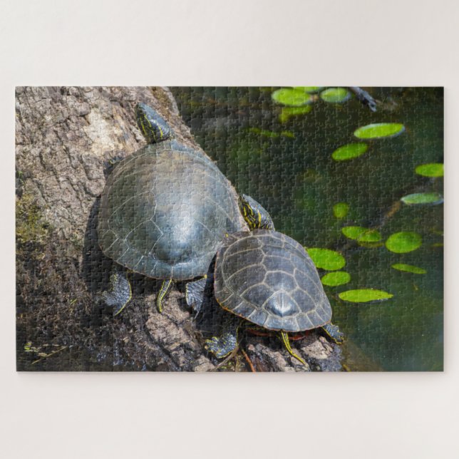 Puzzle Couple de Tortues Peintes (Horizontal)