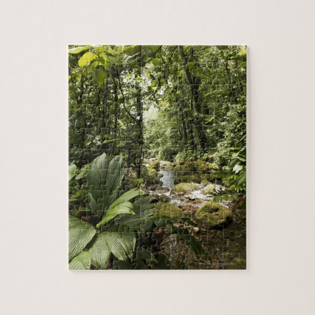 Puzzle courant dans la forêt tropicale, Dominique (Vertical)