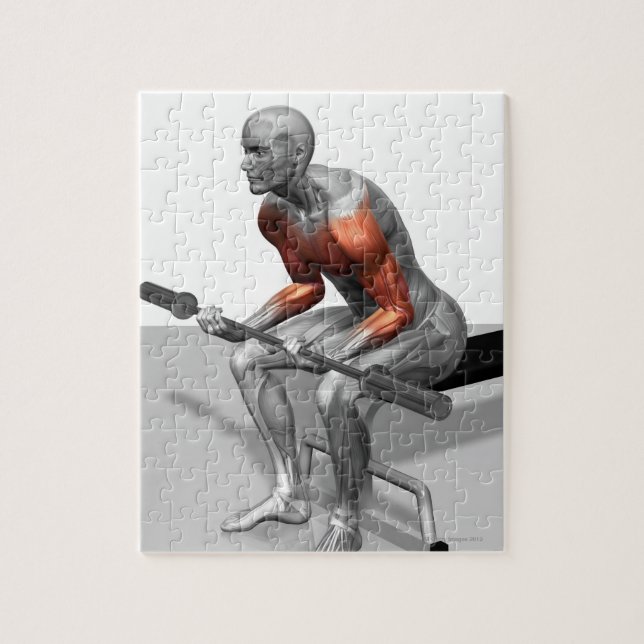 Puzzle Courbes de poignet (Vertical)