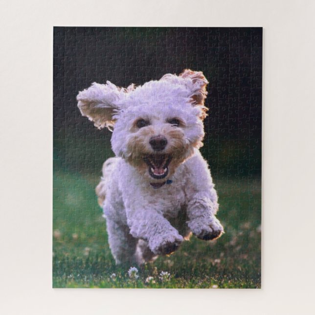 Puzzle Courir un chien blanc de caniche mignon chien (Vertical)