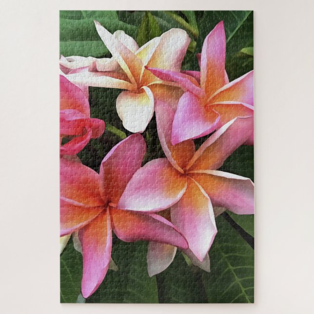 Puzzle Couronne De Fleur De Frangipani Rose Pâle (Vertical)