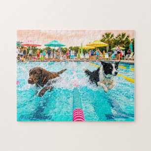 Puzzle Course de natation pour chiens