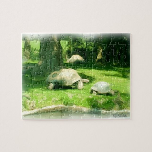 Puzzle Course de tortues (Horizontal)