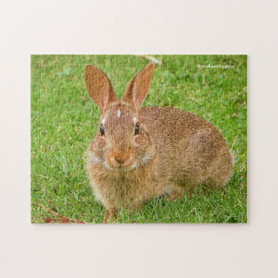 Puzzle Couteau Bunny Chewing Greens sur le Golf Fairway