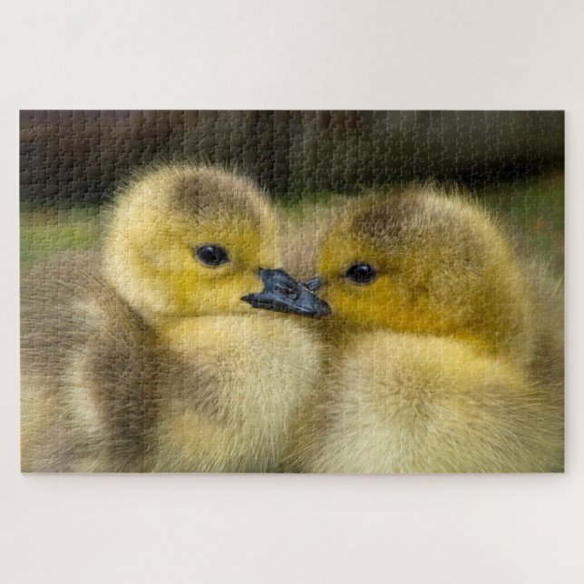 Puzzle Couteaux mignons photo (Horizontal)