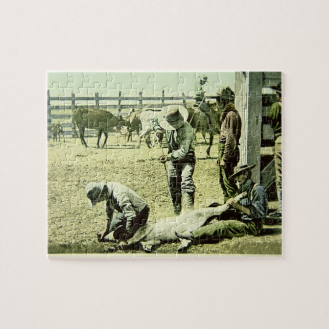 Puzzle Cowboys américains stigmatisant un veau, c.1900 (Horizontal)