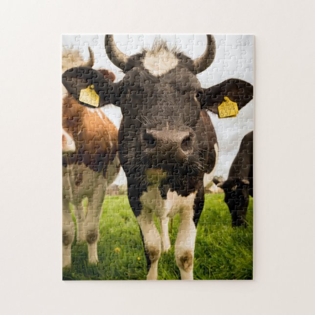 Puzzle Cows in the Field (Vertical)