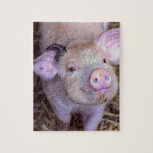 Puzzle Cozmico