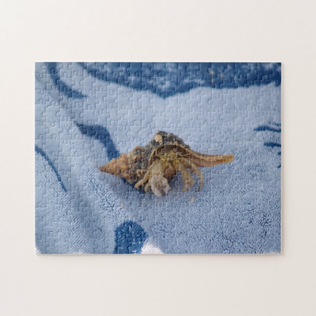 Puzzle Crabe À Hermite Sauvage Dans L'Océan Shell Photo (Horizontal)