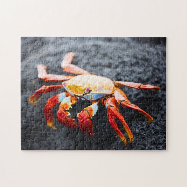 Puzzle Crabe de lightfoot de sortie sur une roche noire (Horizontal)