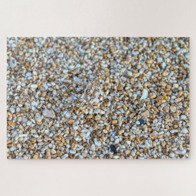 Puzzle Crabe fantôme Camouflé sur une plage de Kauai, Haw (Horizontal)