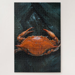 Puzzle Crabe molle sur Feuilles sombres