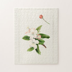 Puzzle Crabe Pomme Fleur (Malus) aquarelle Peinture