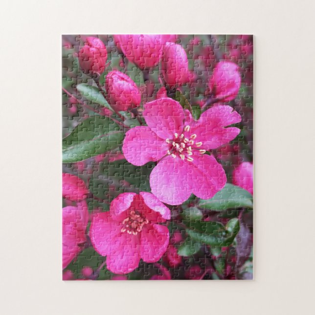 Puzzle Crabelle rose à fleurs (Vertical)