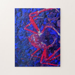 Puzzle Crabes araignées.