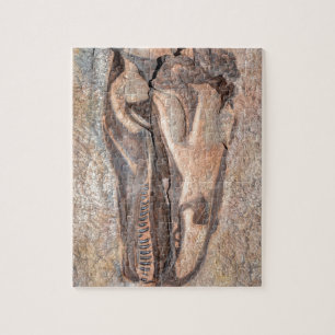 Puzzle Crâne de Camarasaurus - monument national de