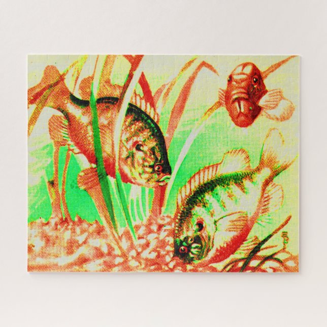 Puzzle crapet arlequin d'eau douce (Horizontal)